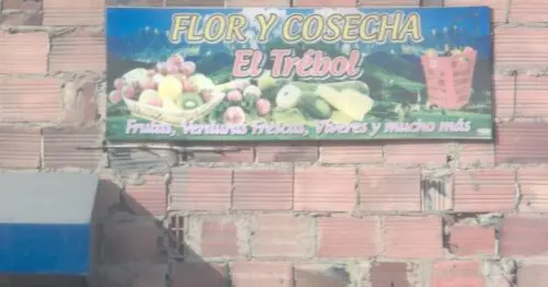 FLOR Y COSECHA EL TREBOL FLOR Y COSECHA EL TREBOL